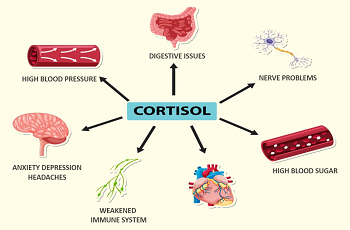 علائم و علل کورتیزول بالا