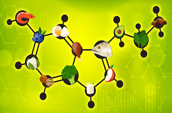 چه ارتباطی بین تغذیه و هورمون‌ها وجود دارد؟